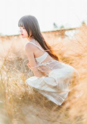 暖秋 电视剧